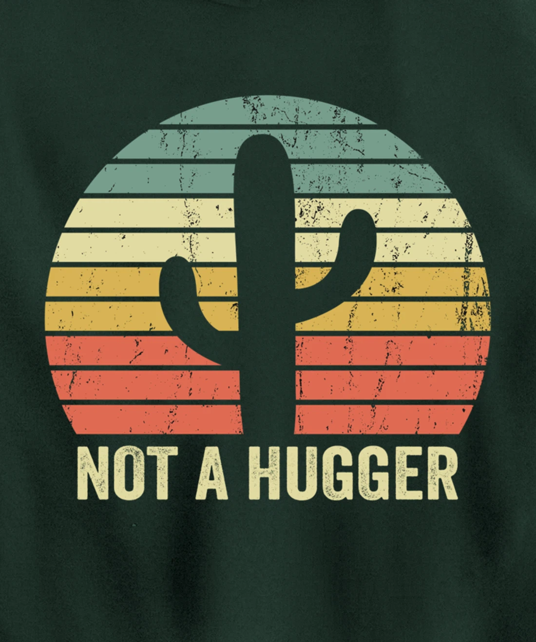 Funny Not A Hugger Cactus Introvert Sarcastic Gift Pullover Hoodie