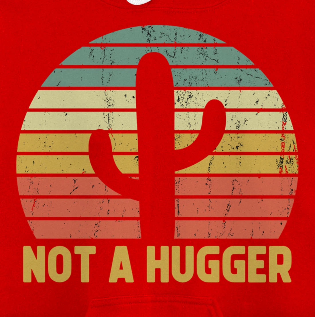 Not A Hugger Cactus Funny Introvert Vintage Gift Pullover Hoodie