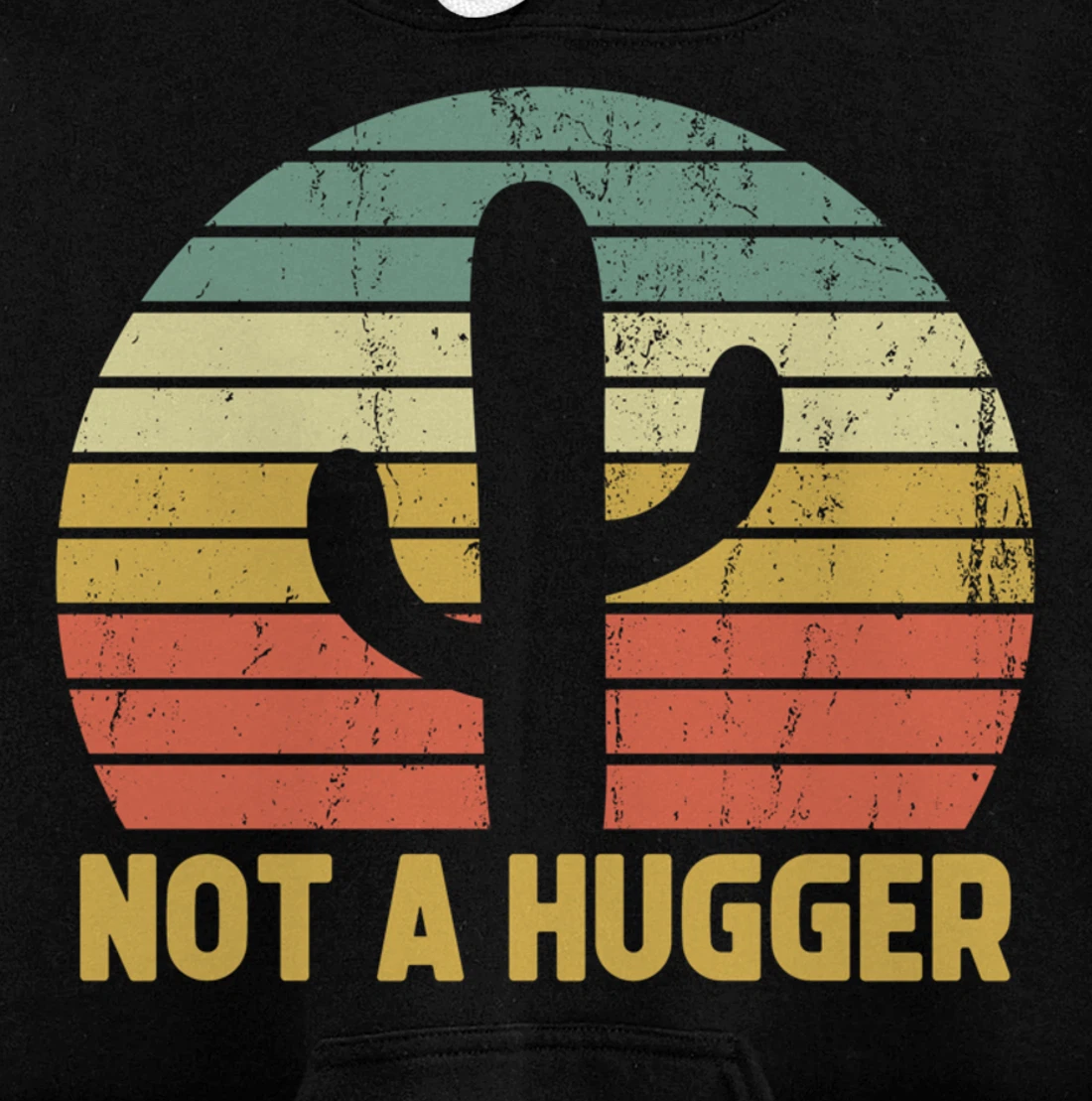 Not A Hugger Cactus Funny Introvert Vintage Gift Pullover Hoodie