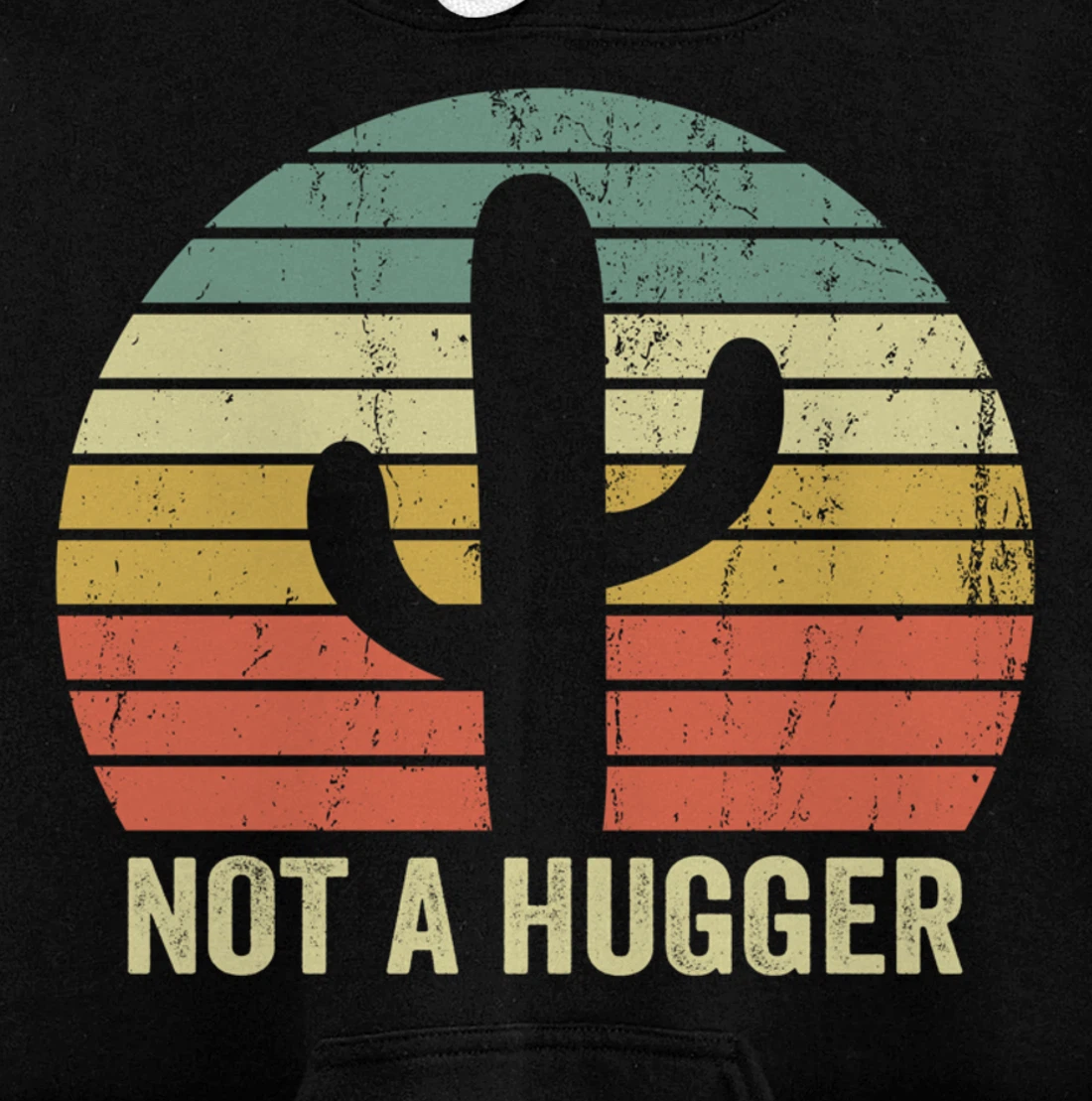 Funny Not A Hugger Cactus Introvert Sarcastic Gift Pullover Hoodie