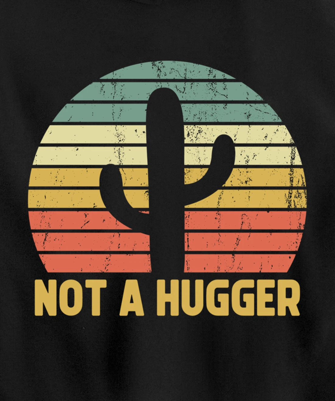 Not A Hugger Cactus Funny Introvert Vintage Gift Pullover Hoodie
