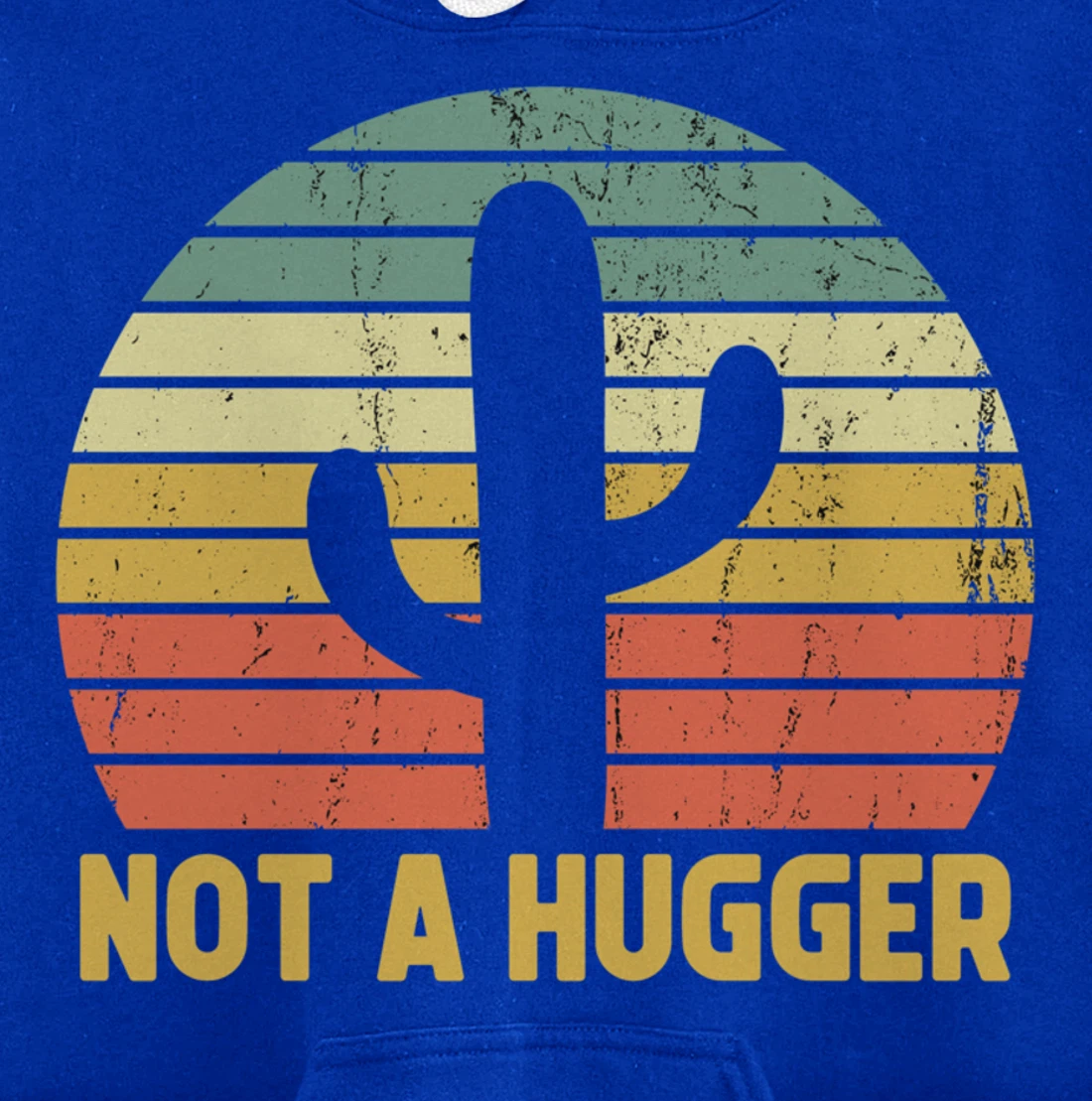 Not A Hugger Cactus Funny Introvert Vintage Gift Pullover Hoodie