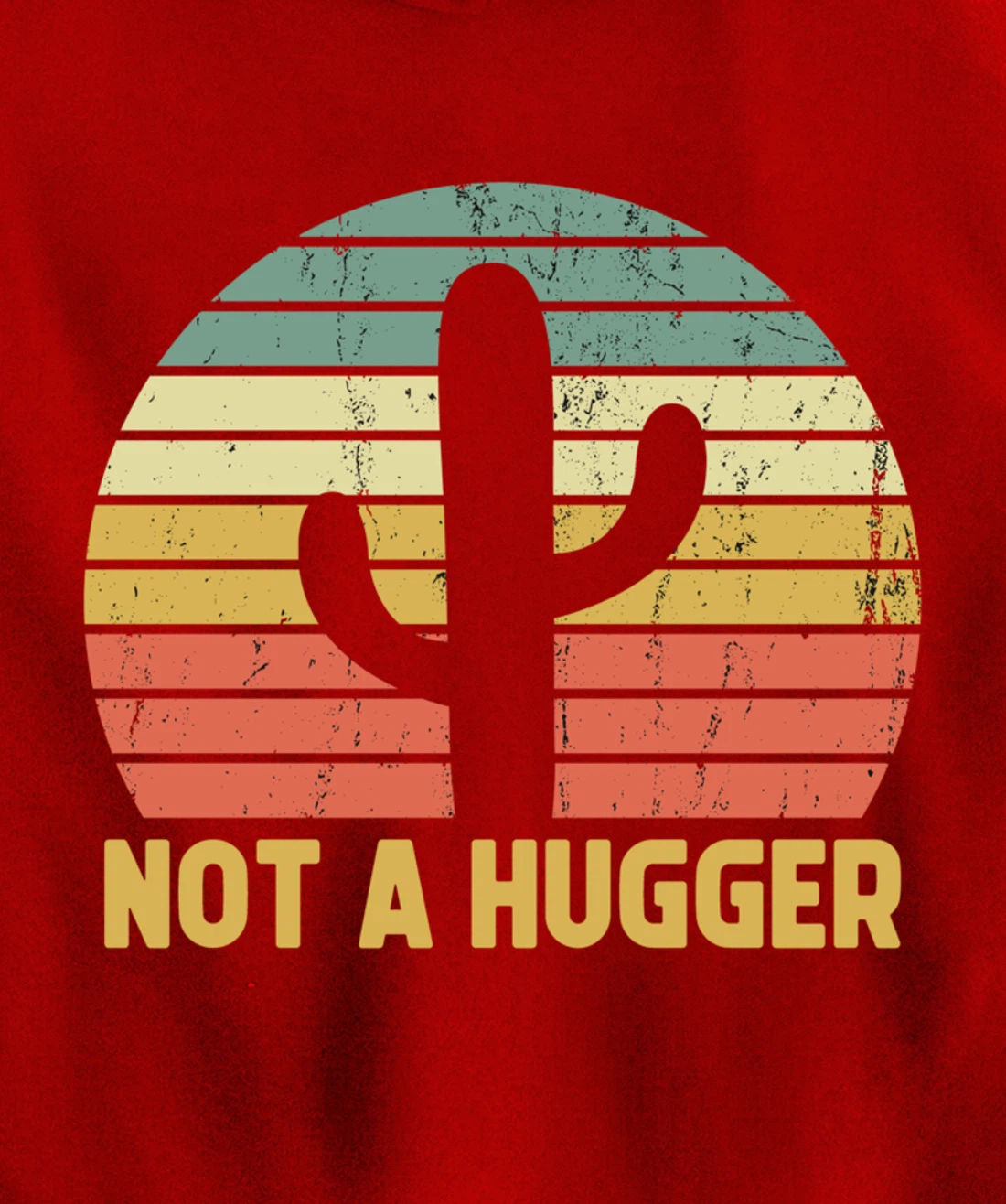 Not A Hugger Cactus Funny Introvert Vintage Gift Pullover Hoodie