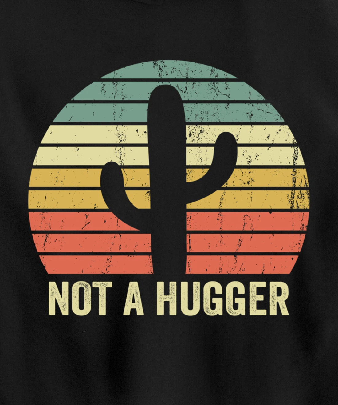 Funny Not A Hugger Cactus Introvert Sarcastic Gift Pullover Hoodie