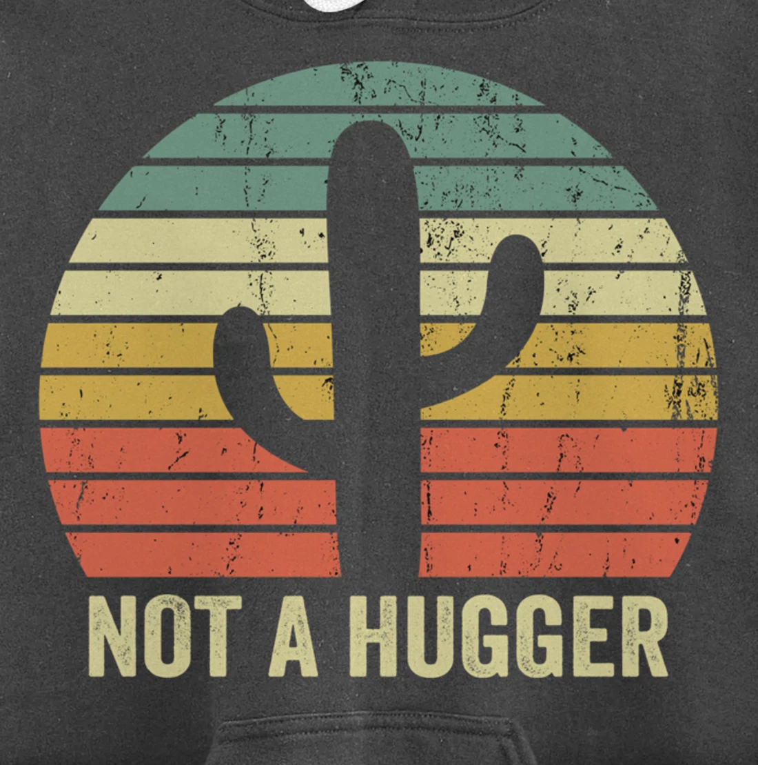 Funny Not A Hugger Cactus Introvert Sarcastic Gift Pullover Hoodie