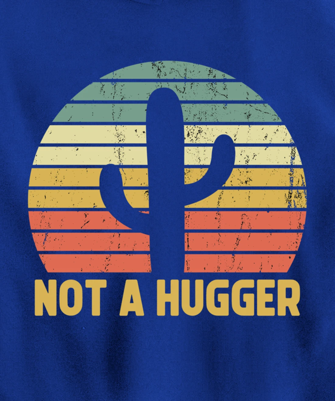 Not A Hugger Cactus Funny Introvert Vintage Gift Pullover Hoodie