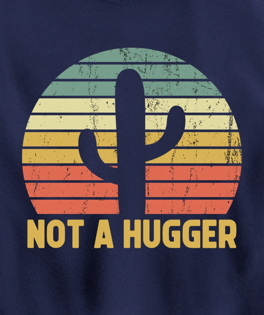 Not A Hugger Cactus Funny Introvert Vintage Gift Pullover Hoodie