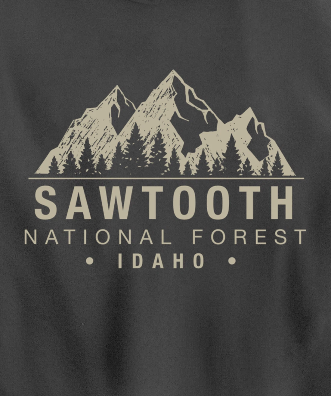 Sawtooth National Forest Idaho Pullover Hoodie