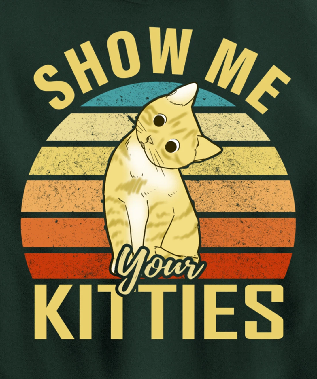 Show Me Your Kitties Funny Cat Lovers Gift Pullover Hoodie