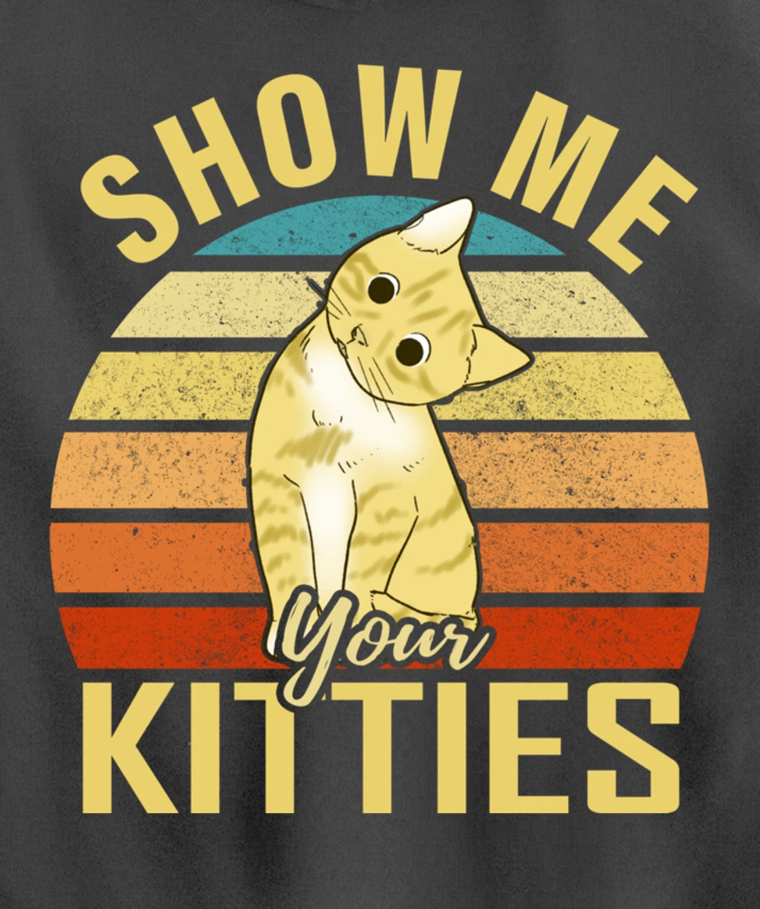 Show Me Your Kitties Funny Cat Lovers Gift Pullover Hoodie