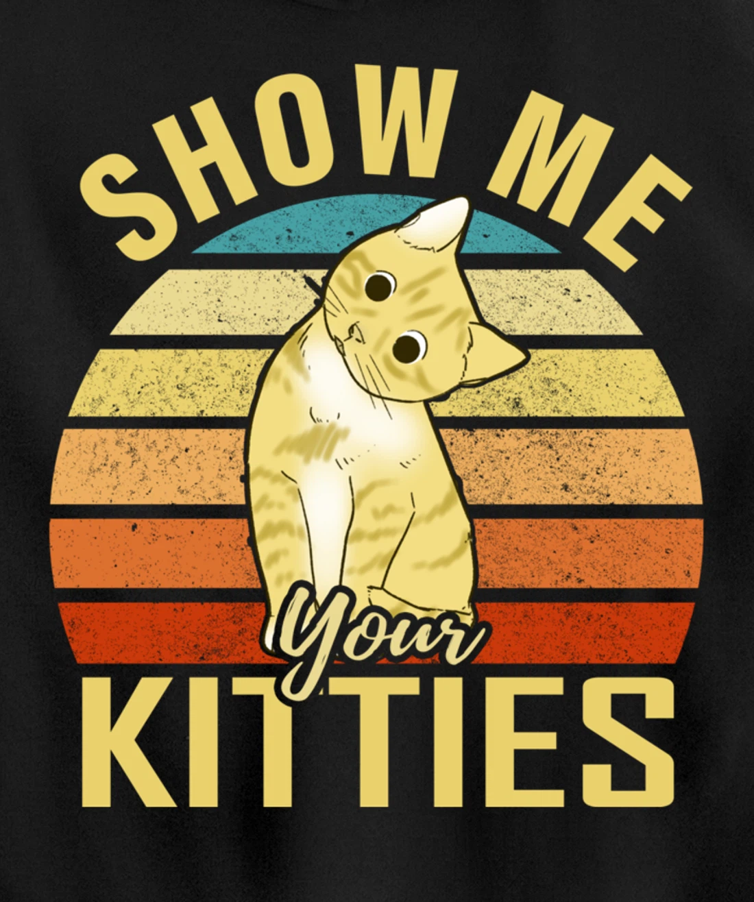 Show Me Your Kitties Funny Cat Lovers Gift Pullover Hoodie