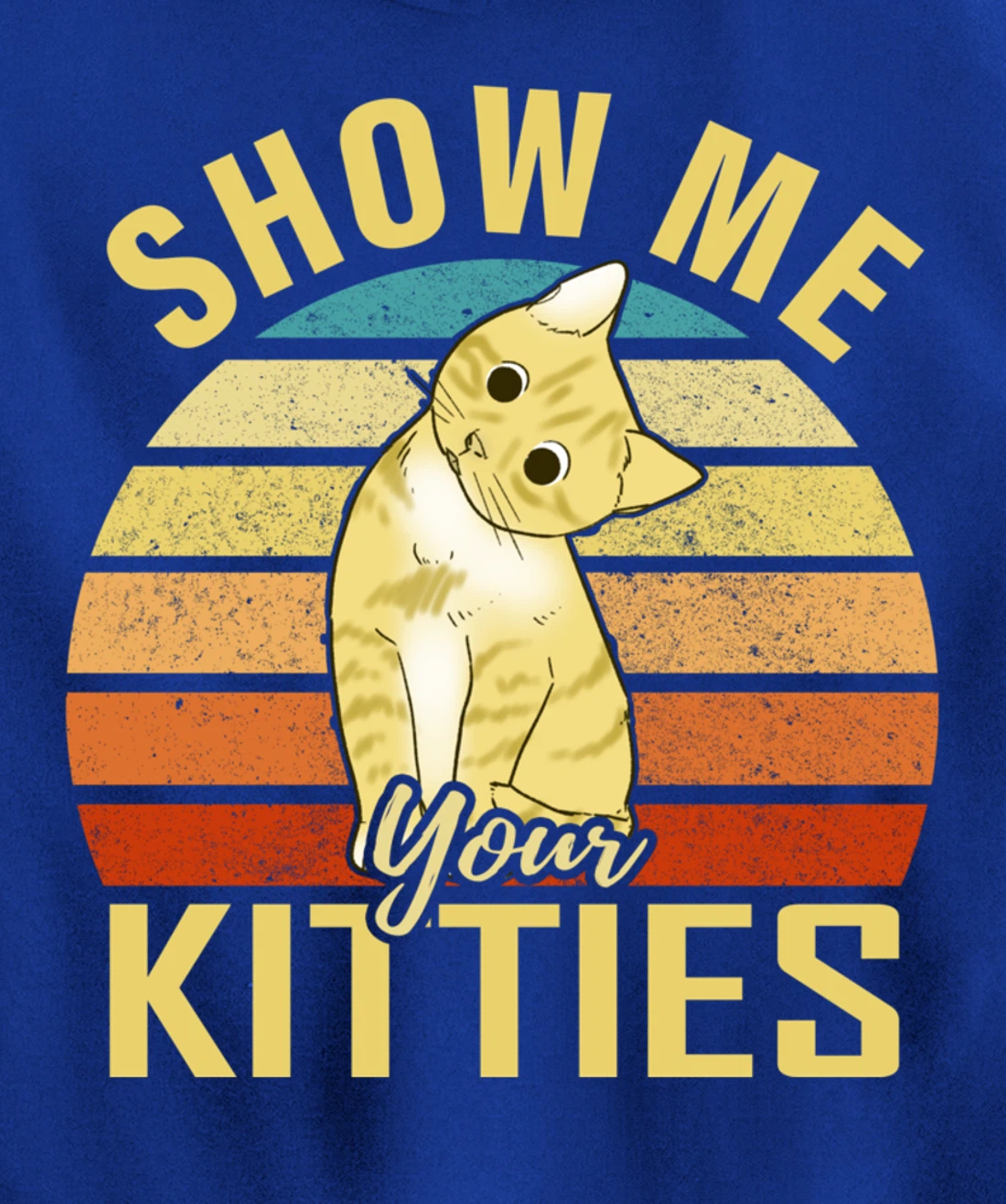 Show Me Your Kitties Funny Cat Lovers Gift Pullover Hoodie