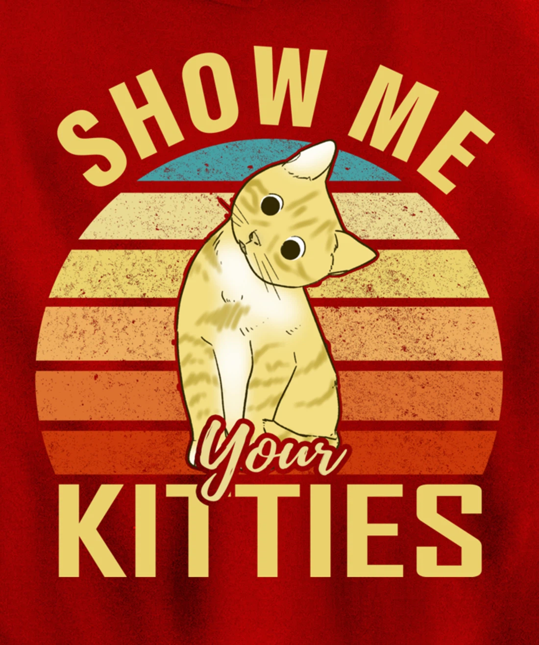 Show Me Your Kitties Funny Cat Lovers Gift Pullover Hoodie