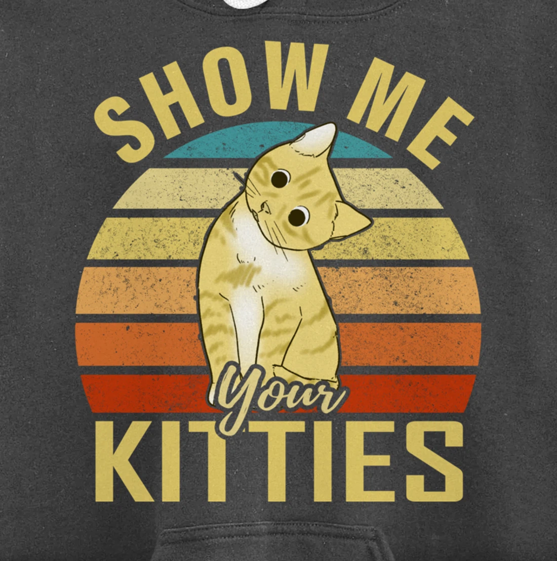Show Me Your Kitties Funny Cat Lovers Gift Pullover Hoodie
