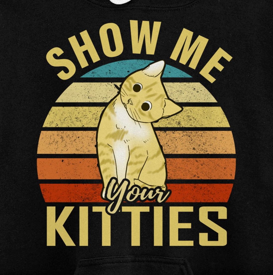 Show Me Your Kitties Funny Cat Lovers Gift Pullover Hoodie