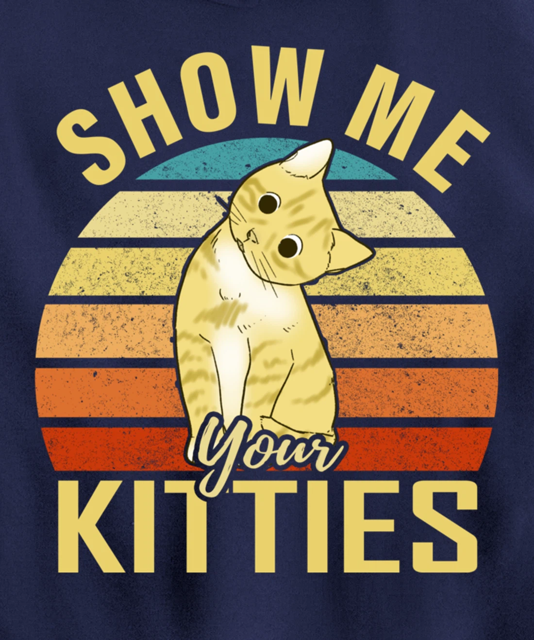 Show Me Your Kitties Funny Cat Lovers Gift Pullover Hoodie