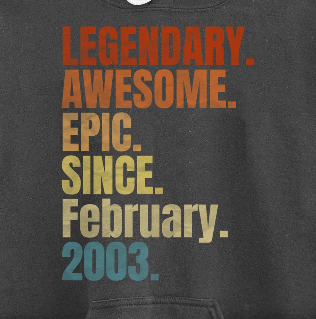 Retro Legendary Since February 2003 T Shirt 17 Years Old Pullover Hoodie