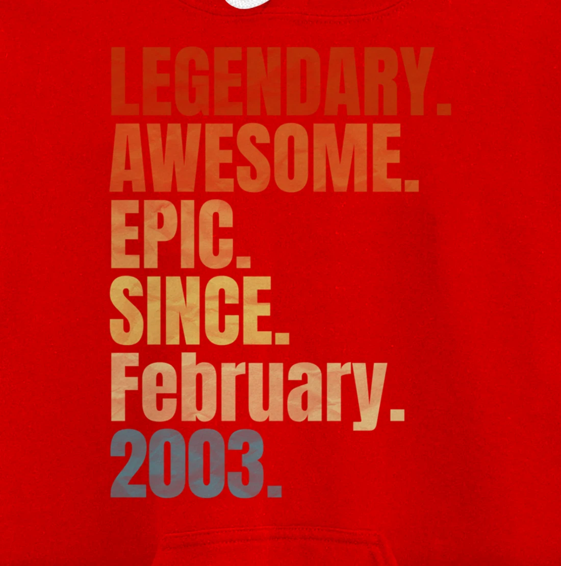 Retro Legendary Since February 2003 T Shirt 17 Years Old Pullover Hoodie