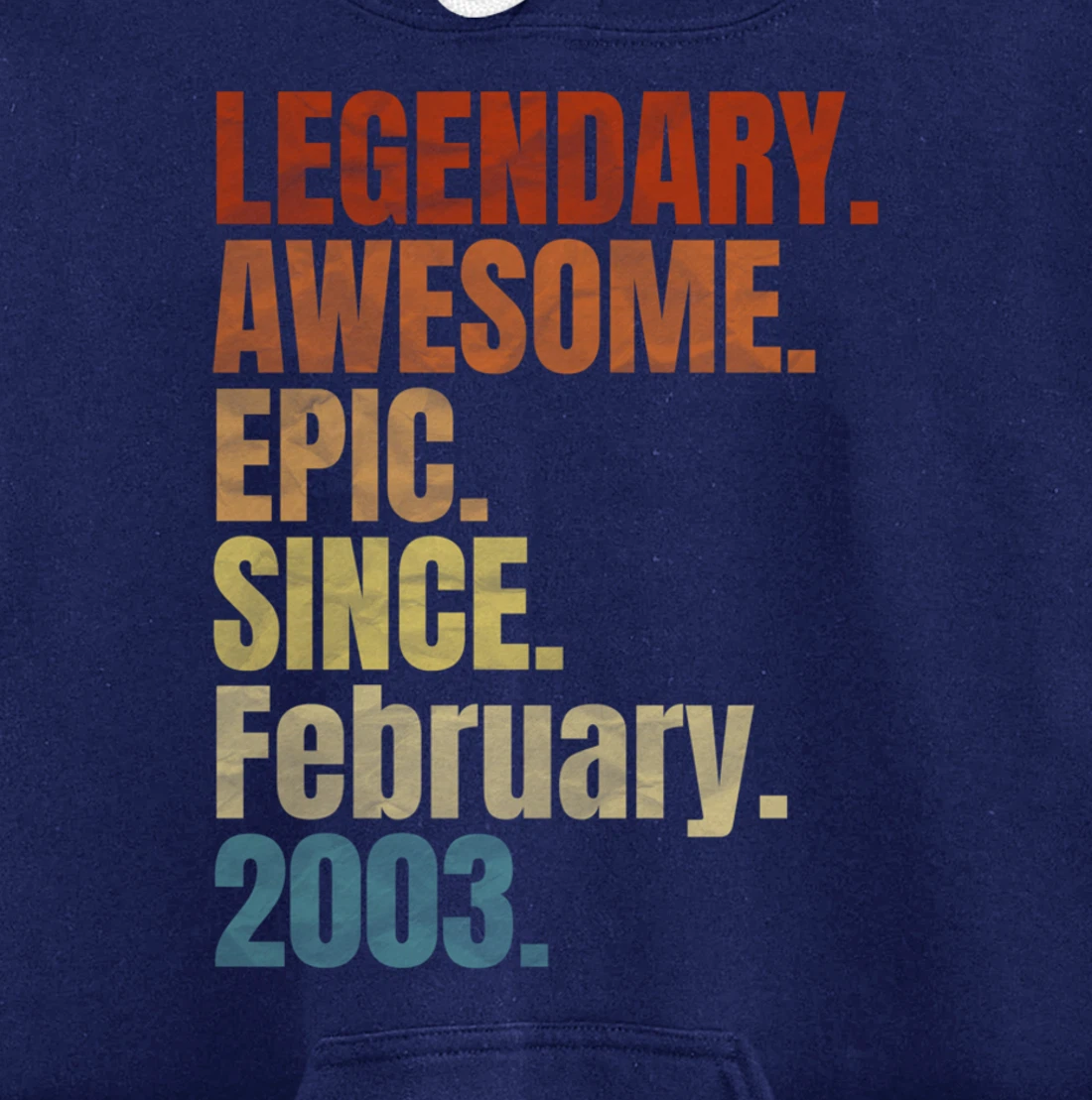 Retro Legendary Since February 2003 T Shirt 17 Years Old Pullover Hoodie