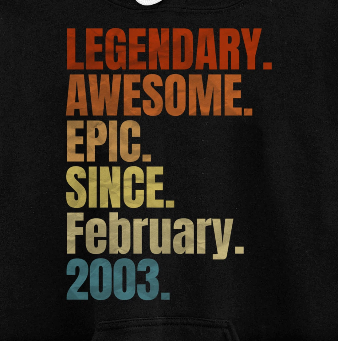 Retro Legendary Since February 2003 T Shirt 17 Years Old Pullover Hoodie