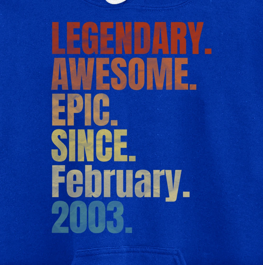 Retro Legendary Since February 2003 T Shirt 17 Years Old Pullover Hoodie