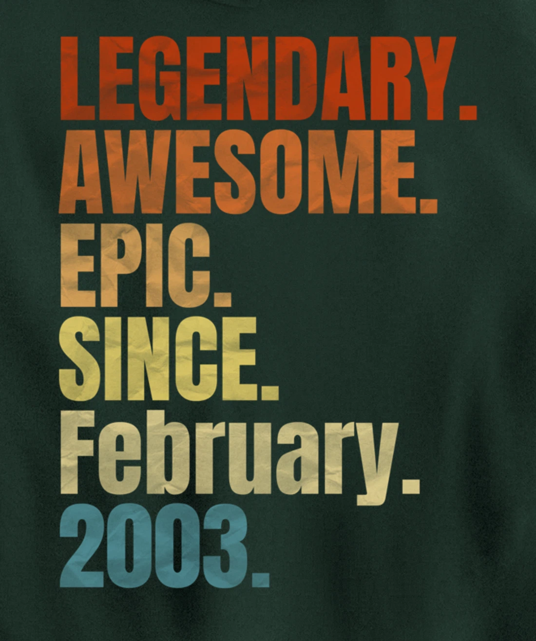 Retro Legendary Since February 2003 T Shirt 17 Years Old Pullover Hoodie