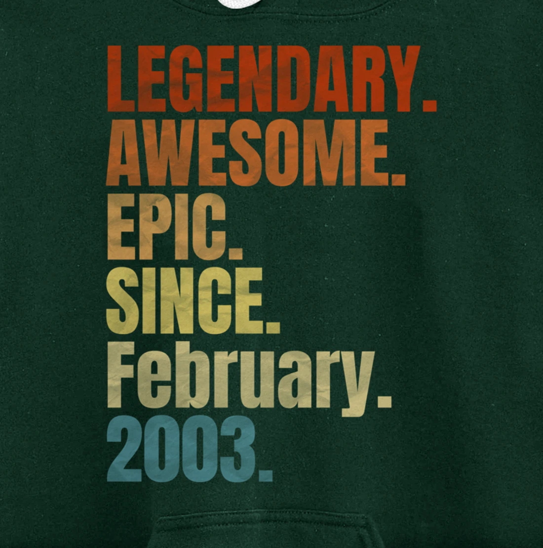 Retro Legendary Since February 2003 T Shirt 17 Years Old Pullover Hoodie
