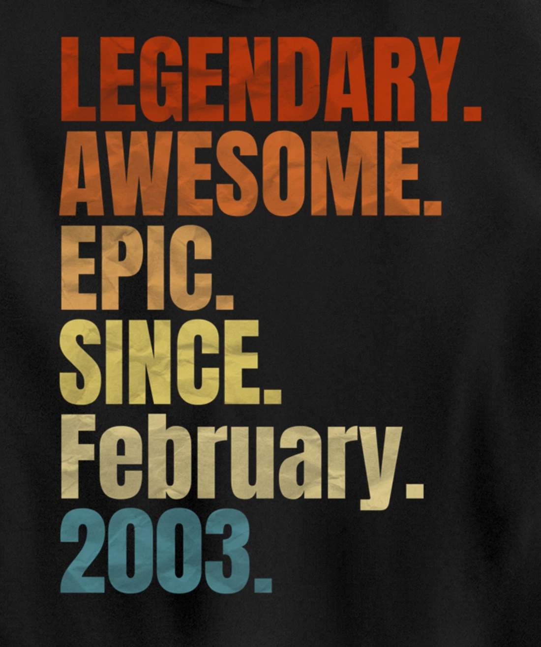 Retro Legendary Since February 2003 T Shirt 17 Years Old Pullover Hoodie