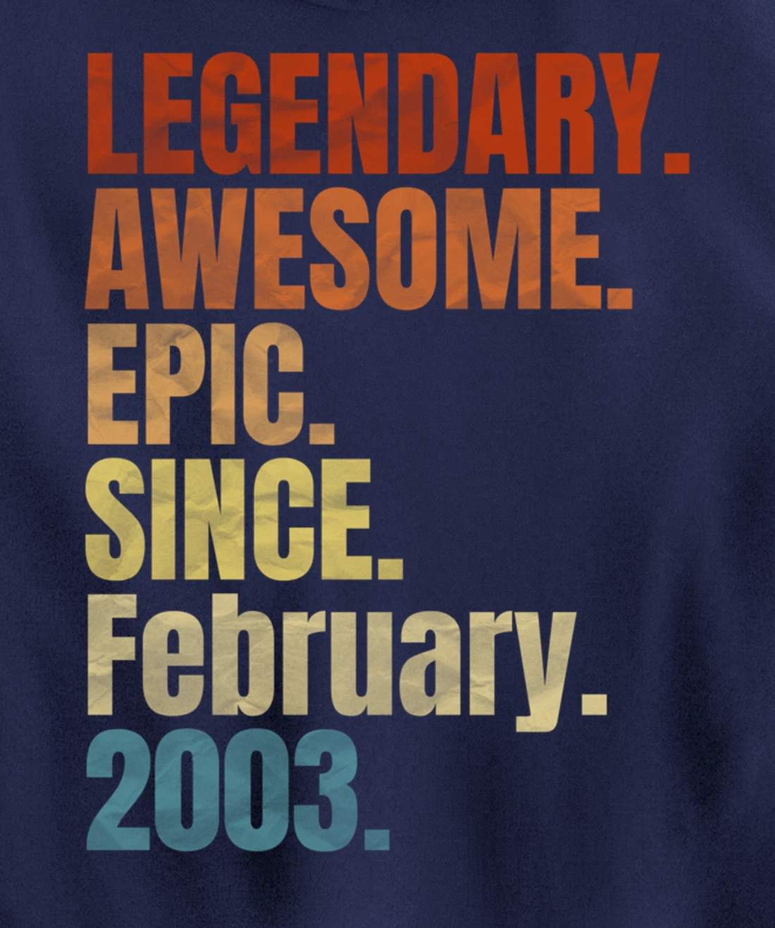 Retro Legendary Since February 2003 T Shirt 17 Years Old Pullover Hoodie