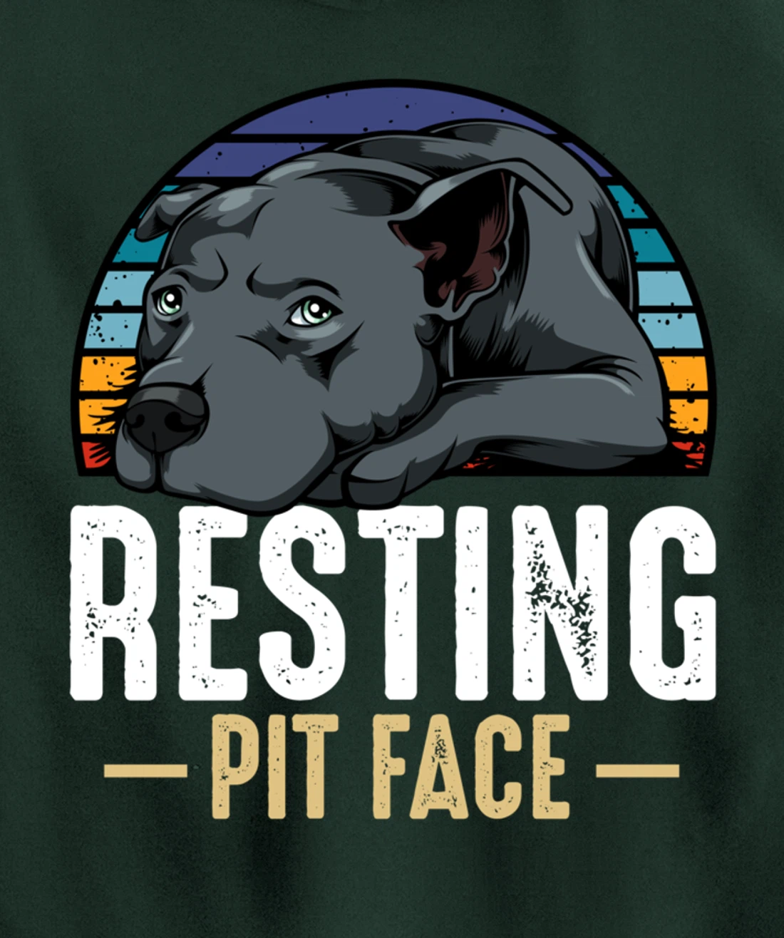 Resting Pit Face Pitbull Funny Cute Dog Pet Animal Lover Pullover Hoodie