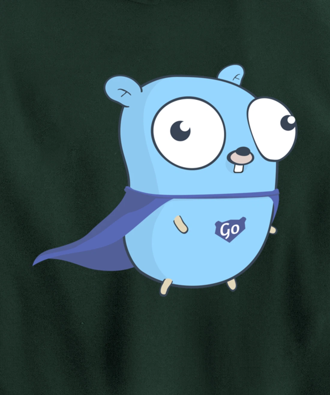 Developer Go Super Golang Pullover Hoodie