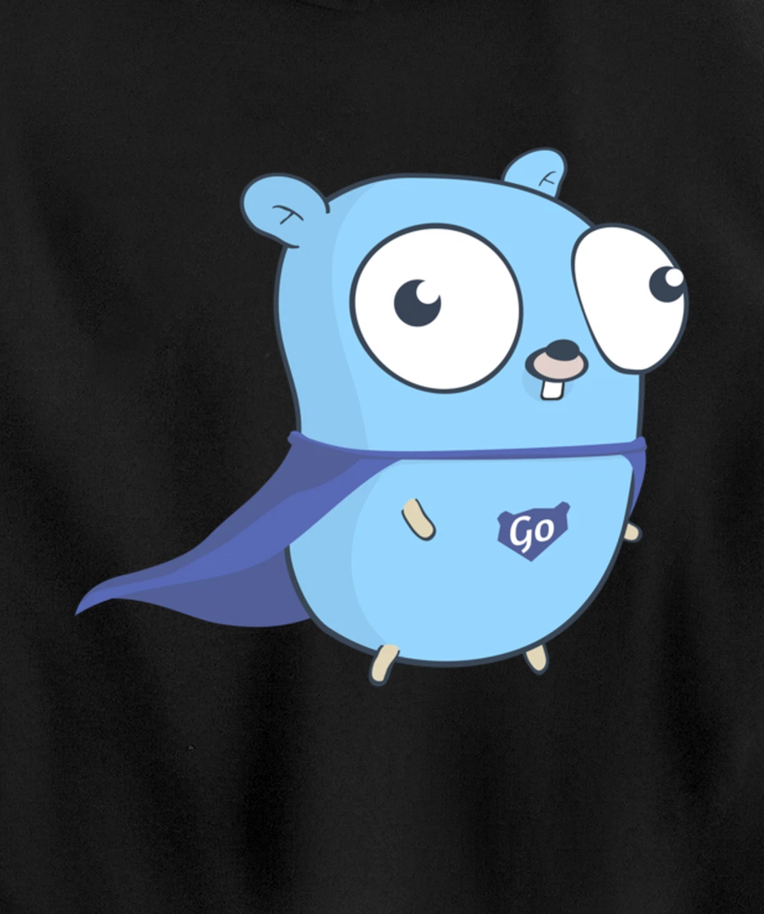 Developer Go Super Golang Pullover Hoodie