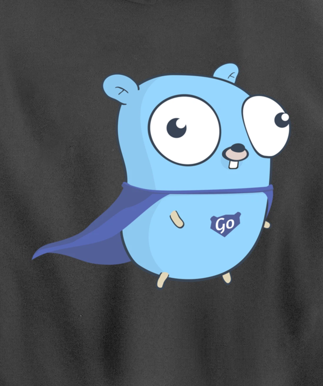 Developer Go Super Golang Pullover Hoodie