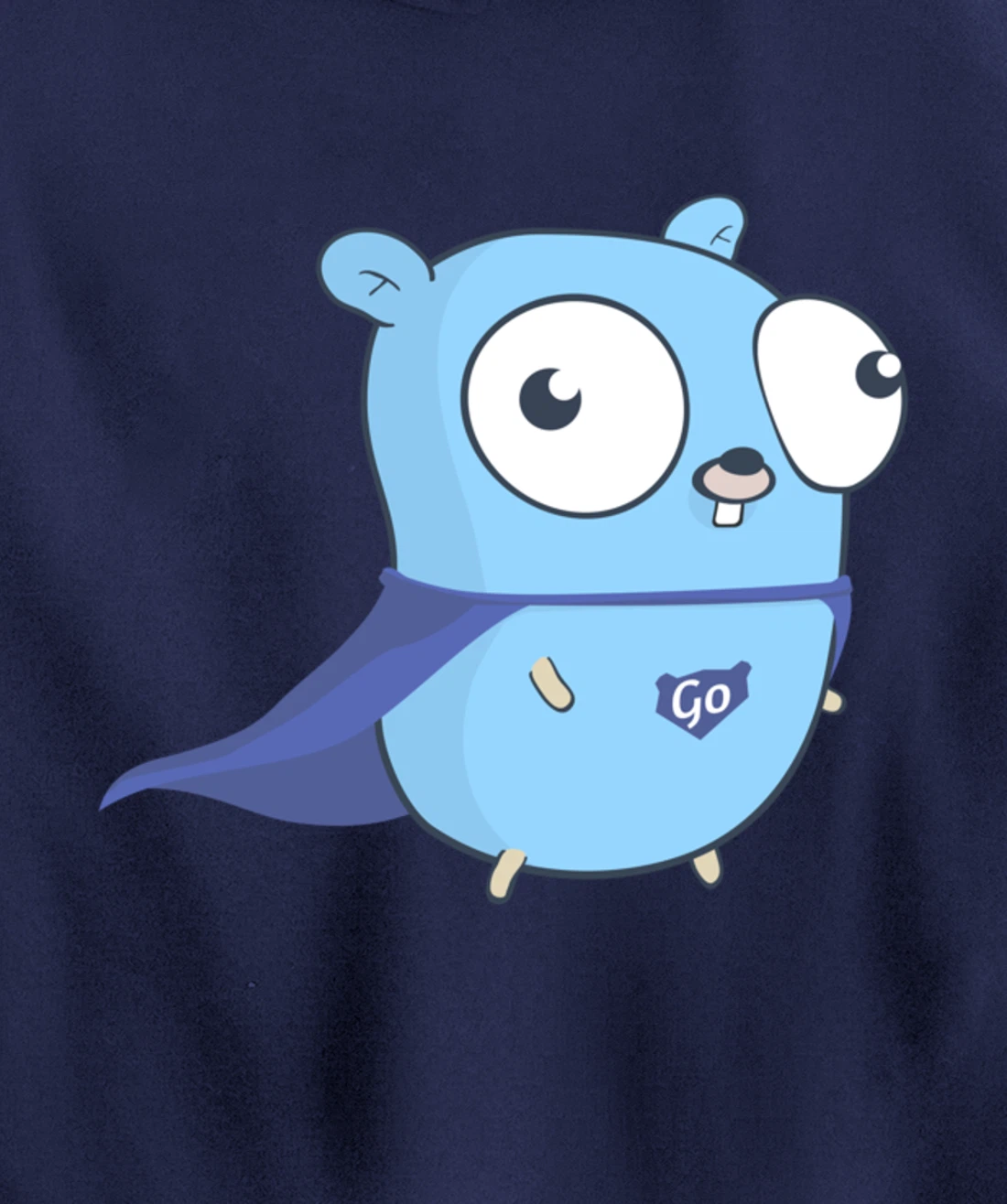 Developer Go Super Golang Pullover Hoodie