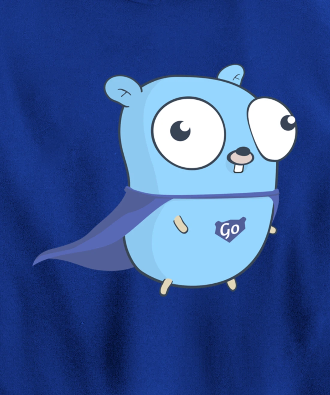 Developer Go Super Golang Pullover Hoodie