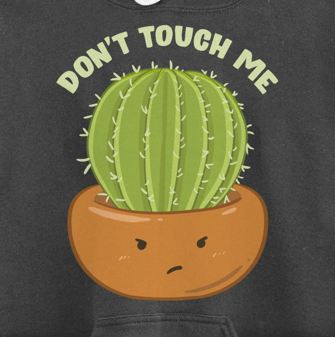 Adorable Don't Touch Me Prickly Cactus Pun Succulent Pullover Hoodie