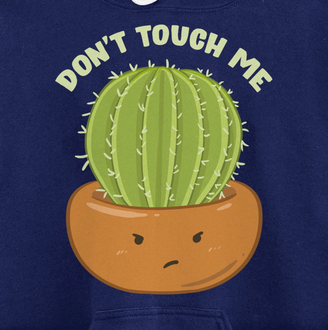Adorable Don't Touch Me Prickly Cactus Pun Succulent Pullover Hoodie
