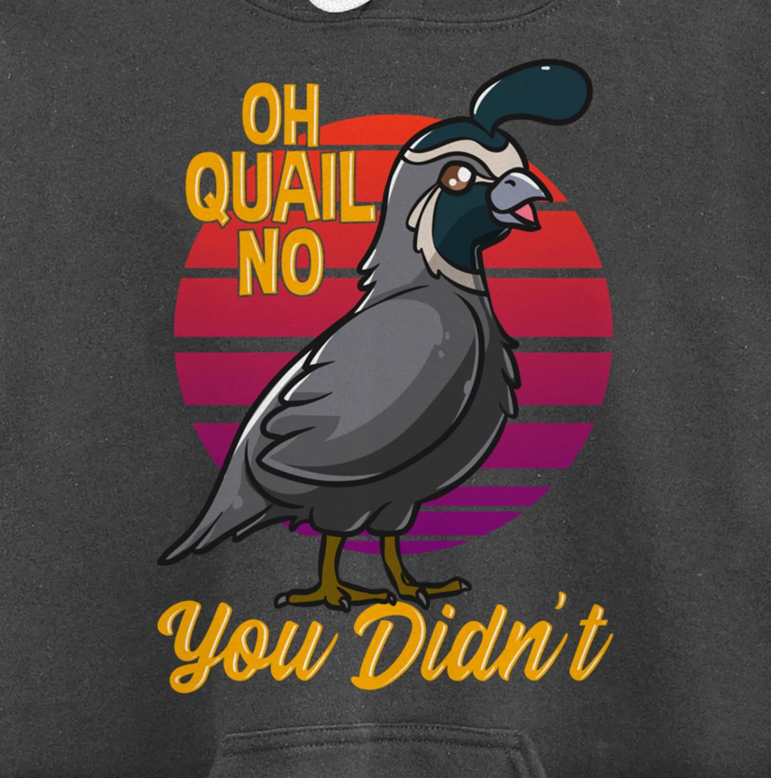 Oh Quail No You Didn't Quail Hunting Pullover Hoodie