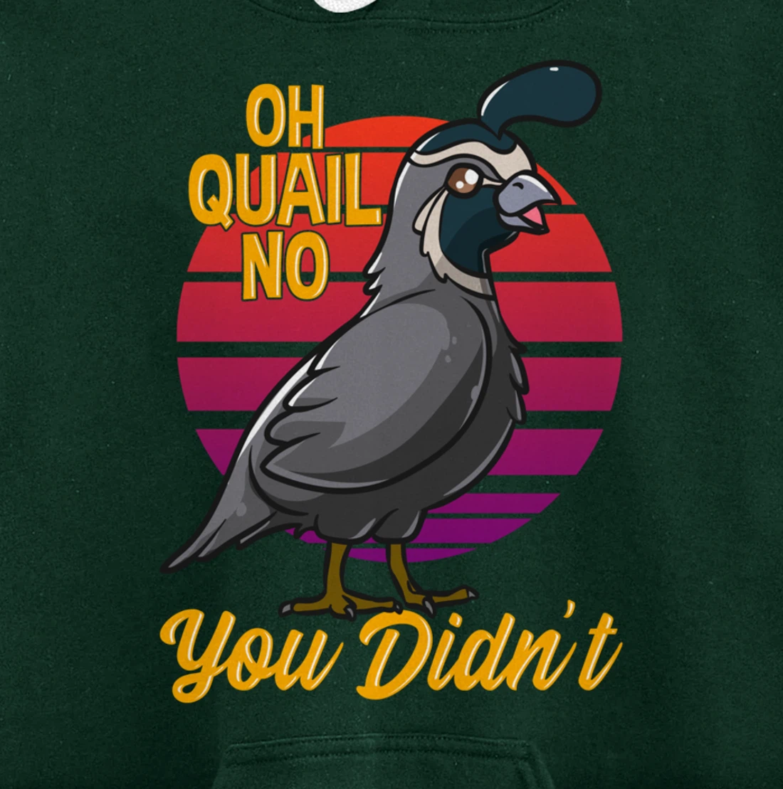 Oh Quail No You Didn't Quail Hunting Pullover Hoodie
