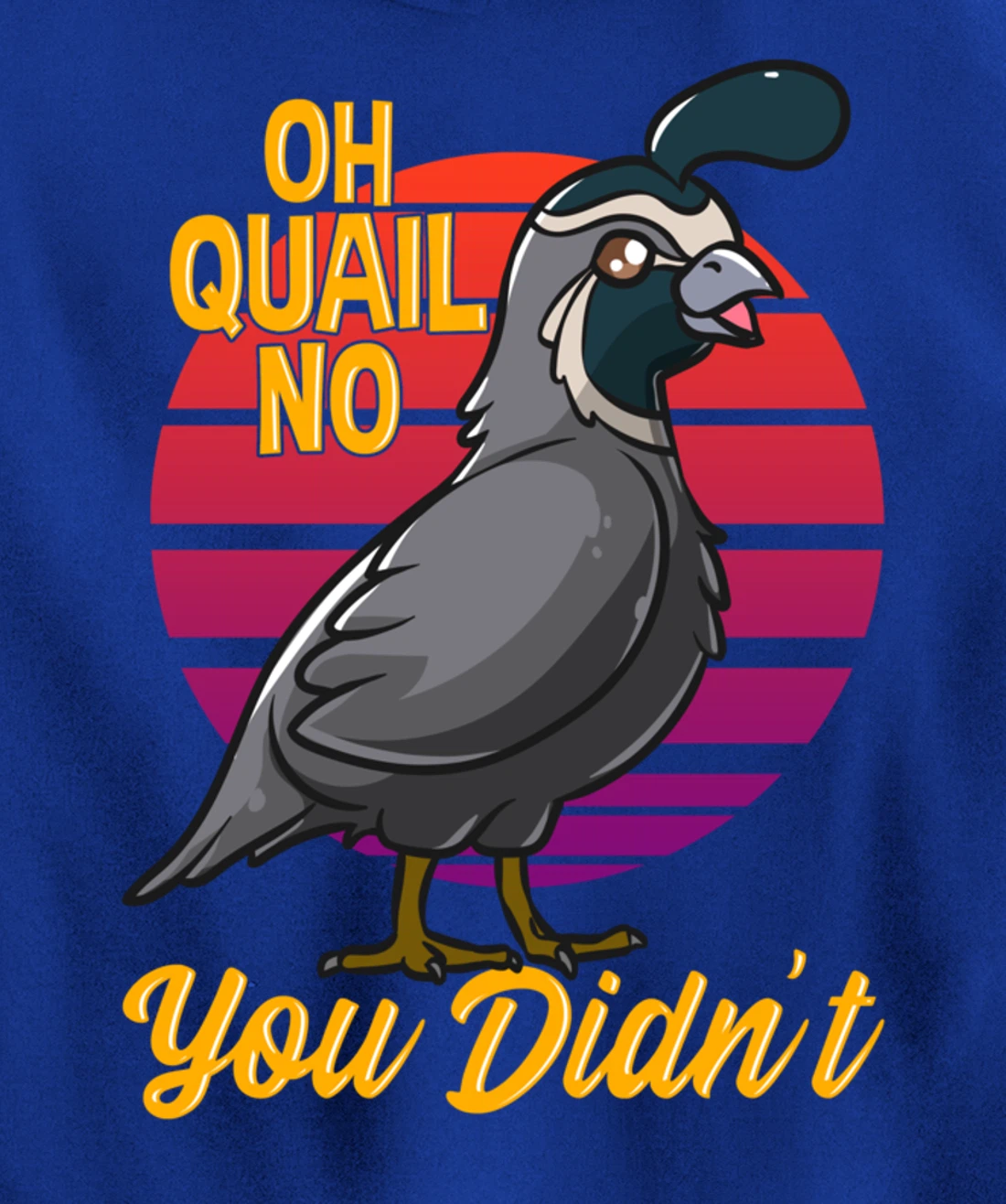 Oh Quail No You Didn't Quail Hunting Pullover Hoodie