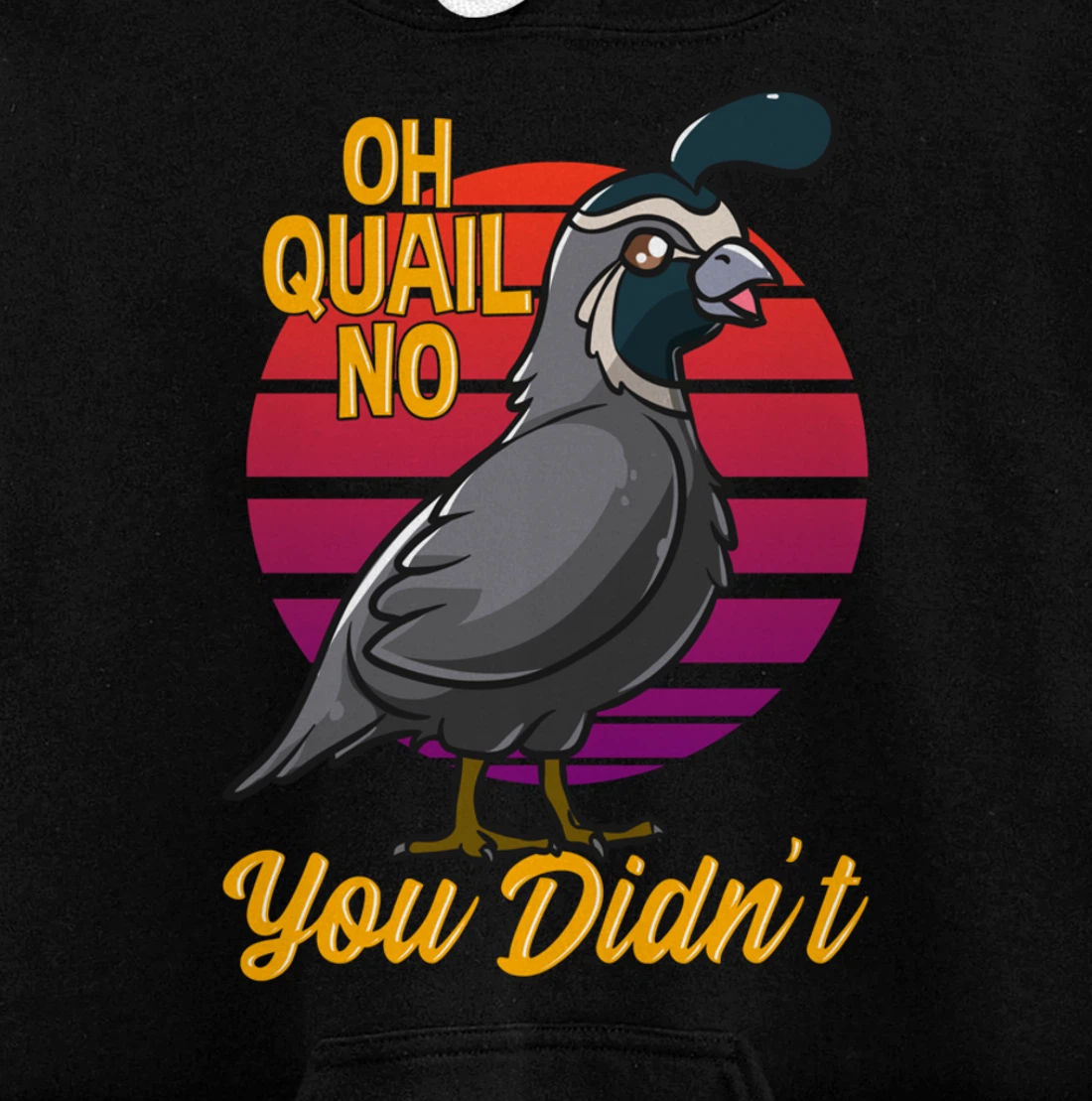 Oh Quail No You Didn't Quail Hunting Pullover Hoodie