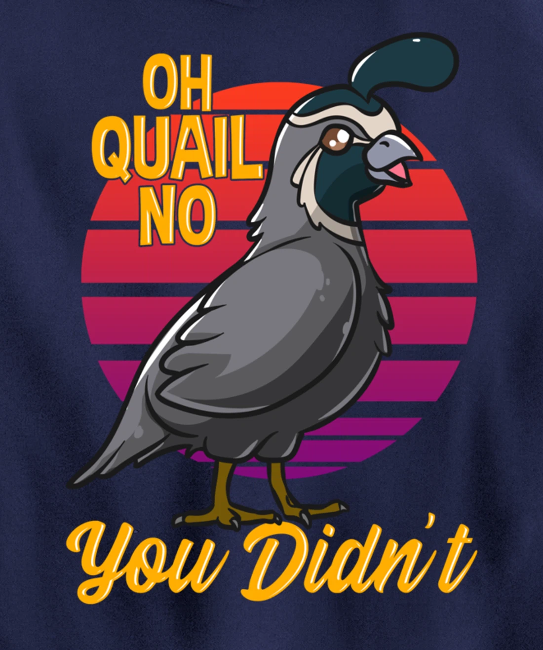 Oh Quail No You Didn't Quail Hunting Pullover Hoodie