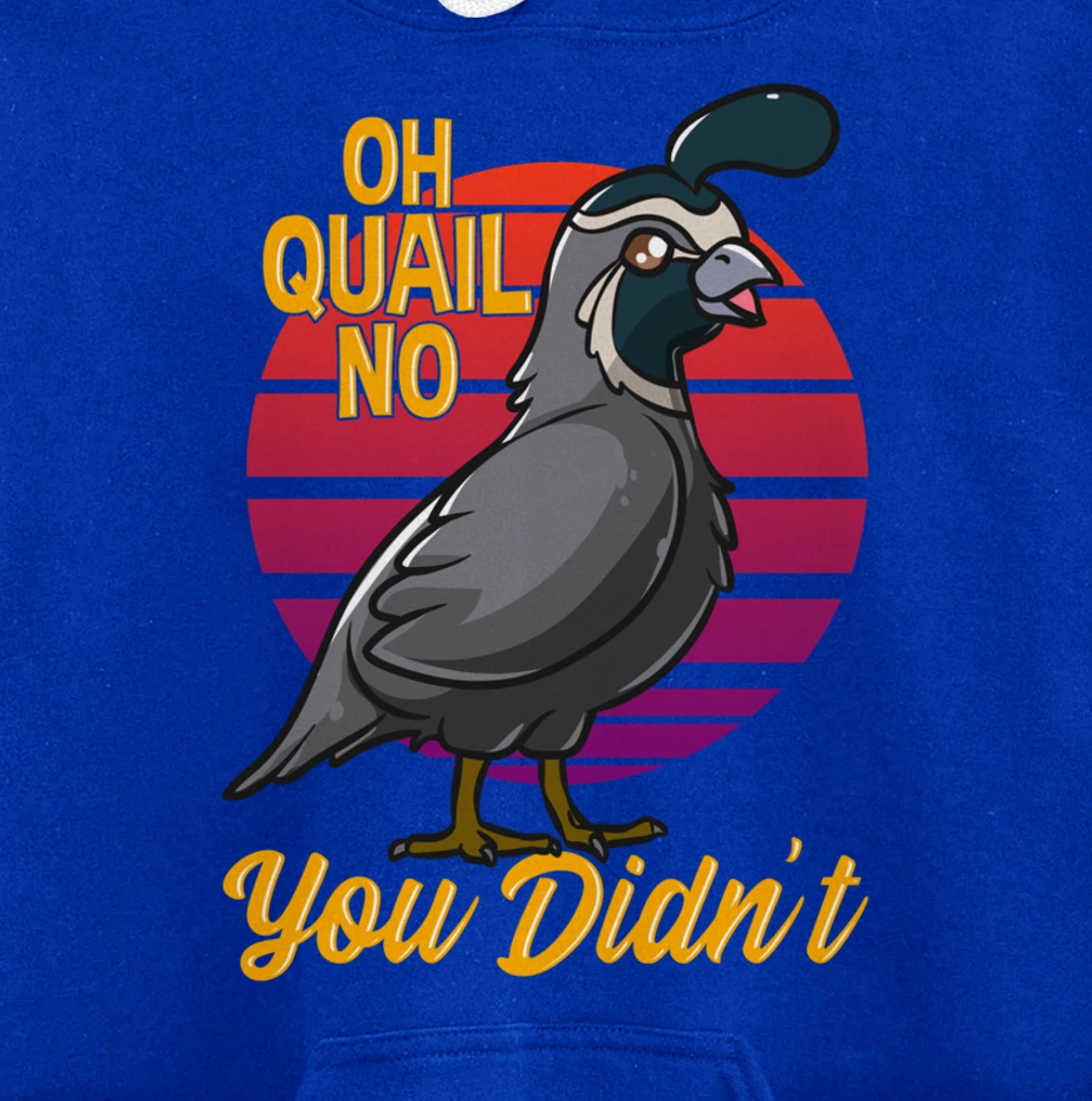 Oh Quail No You Didn't Quail Hunting Pullover Hoodie