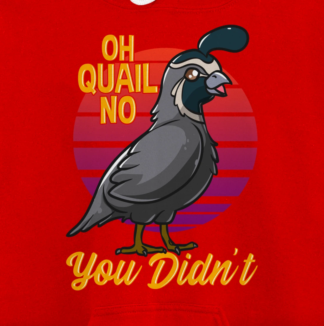 Oh Quail No You Didn't Quail Hunting Pullover Hoodie