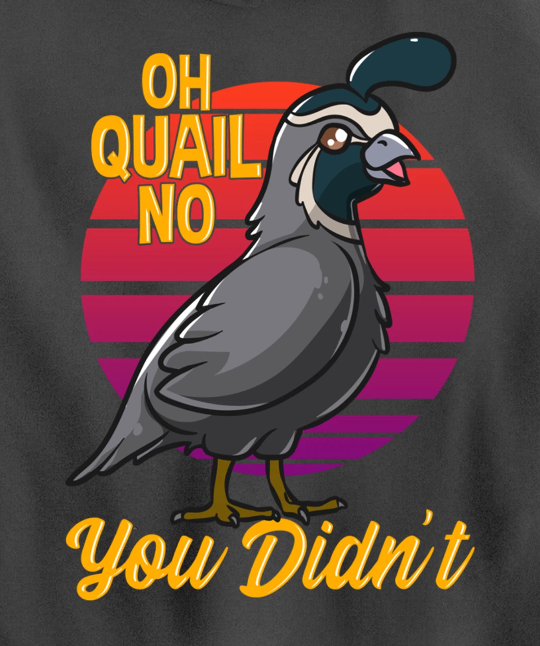 Oh Quail No You Didn't Quail Hunting Pullover Hoodie