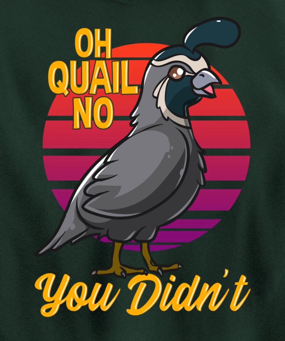 Oh Quail No You Didn't Quail Hunting Pullover Hoodie