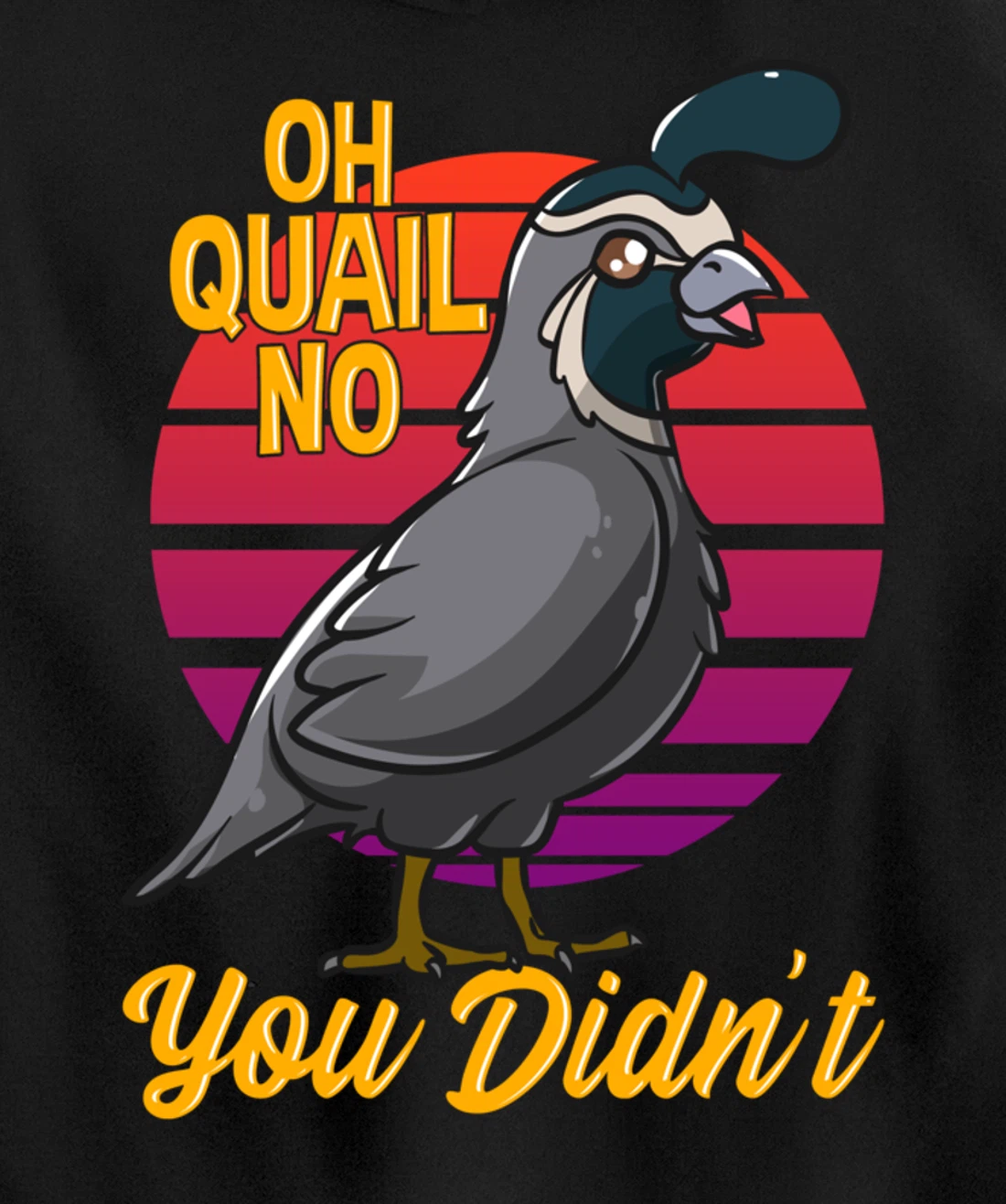 Oh Quail No You Didn't Quail Hunting Pullover Hoodie