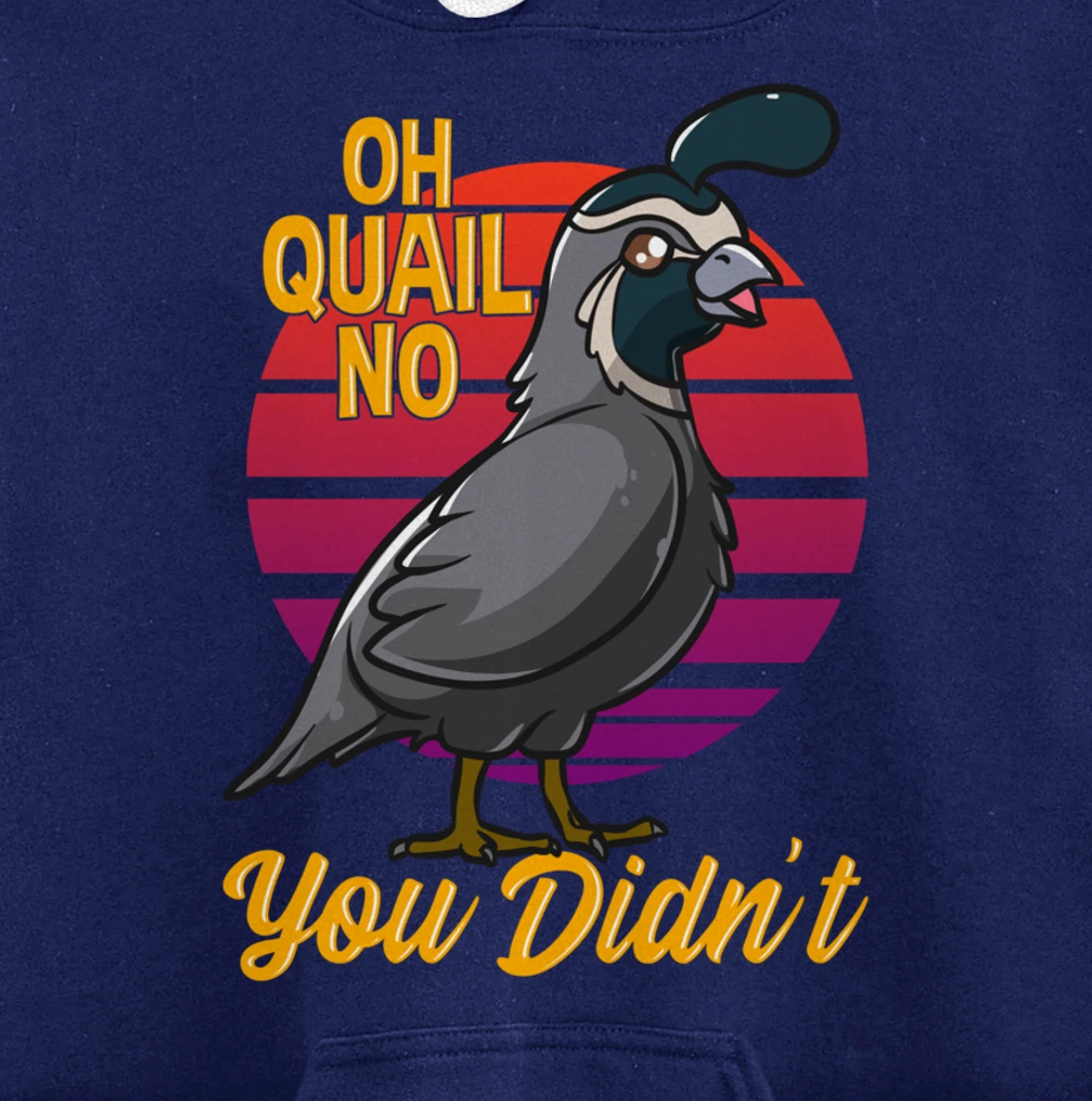 Oh Quail No You Didn't Quail Hunting Pullover Hoodie