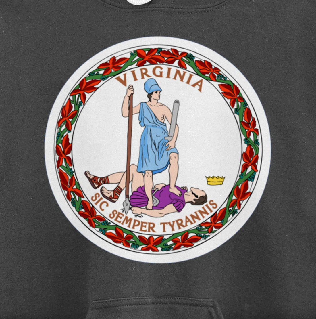 State of Virginia Flag Cool VA Virginian Flags Women Men Pullover Hoodie