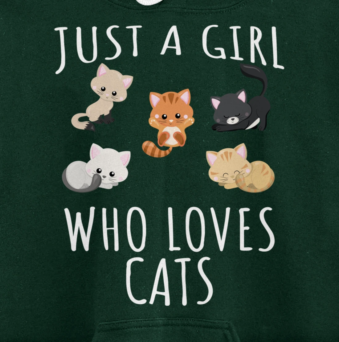Just a girl who loves Cats - Funny Kitten Pullover Hoodie
